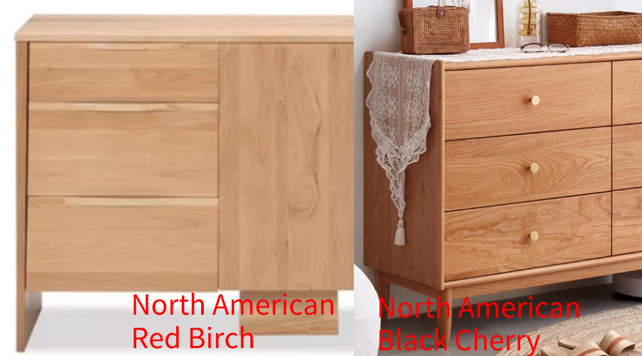 north american red birch and black cherry 2