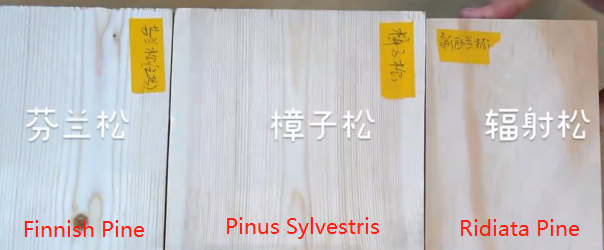 Colours comparison between Finnish Pine, Pinus sylvestris and Radiata pine