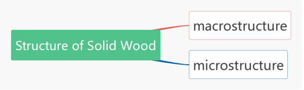 structure of solid wood